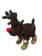 Reindeer with Plant Hole, Tartan Ribbon and Red Nose