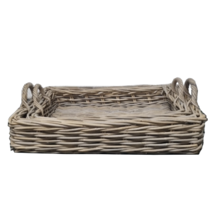 Rectangular Tray